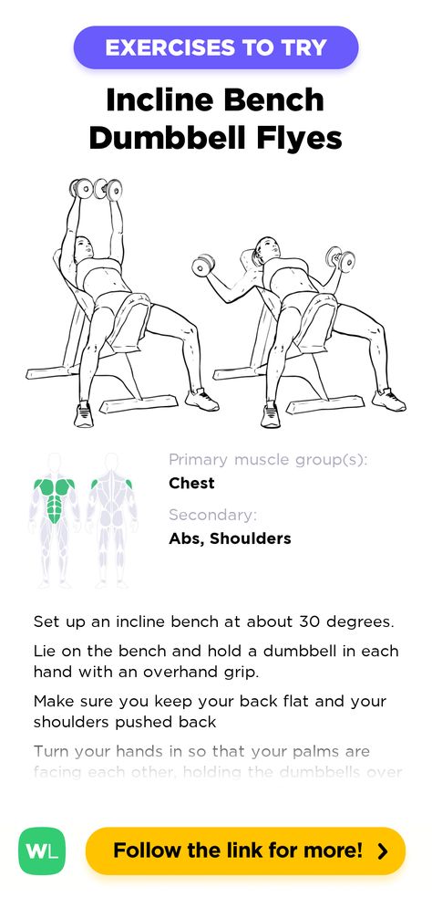 Incline Bench Dumbbell Flyes is a gym work out exercise that targets chest and also involves abs and shoulders. Follow the Pin link for full instructions for how to perform this exercise correctly and visit WorkoutLabs.com for more exercises, workouts, training plans and more simple fitness resources! ©WorkoutLabs Dumbell Fly, Dumbbell Fly, Workout Labs, Push Day, Incline Bench, Chest Press, Shoulder Press, Workout Plan Gym, Training Plan