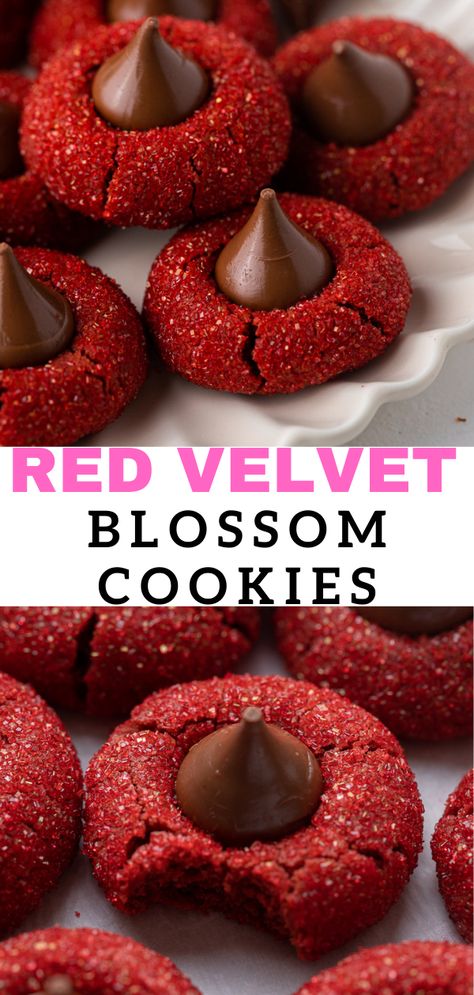 These red velvet blossoms cookies are soft, crunchy, and have just the right amount of Hershey's chocolate in the center. Thumb Print Cookies Recipes Christmas, Thumbprint Cookies Hershey Kiss, Christmas Thumbprint Cookies, Thumbprint Cookies Christmas, Blossoms Cookies, Red Cookies, Homemade Christmas Cookies, Cookies 2023, Lifestyle Of A Foodie