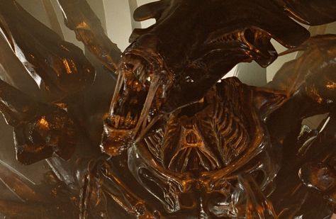 Alien Queen: Every Hive Mother, Matriarch and Empress | AvP Central Xenomorph Queen, Alien Queen, The Queen Mother, Queen Mother, Aliens, The Queen, Queen