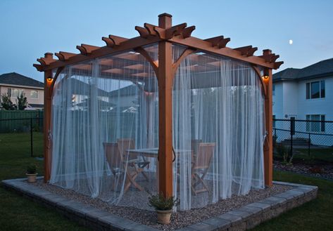 Patio Gazebo Ideas, Pergola Decor, Pergola Curtains, Pergola Swing, Retractable Canopy, Backyard Seating, Pergola Ideas, Diy Pallet Furniture Outdoor, Budget Patio