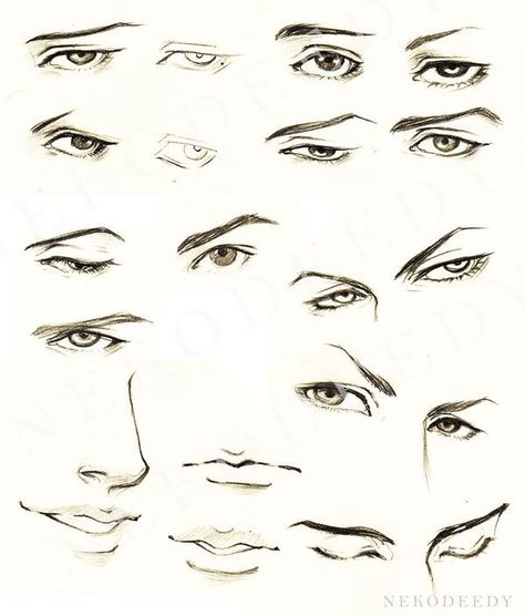 Mata Manga, How To Draw Anime Eyes, Realistic Eye Drawing, Manga Eyes, Eye Drawing Tutorials, 얼굴 그리기, Drawing Faces, Drawing Expressions, Anime Eye Drawing