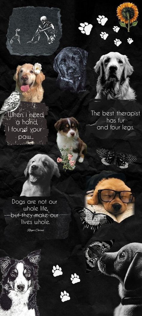 A wallpaper about dogs, vintage black and white aesthetic Pet Lover Wallpaper, Dog Lovers Aesthetic, Dark Dog Wallpaper, Dog Quotes Wallpaper, Dog Paw Wallpaper Aesthetic, Dogs Aesthetic Dark, Cool Dog Wallpaper, Puppy Wallpaper Aesthetic, Aesthetic Dog Wallpaper Iphone