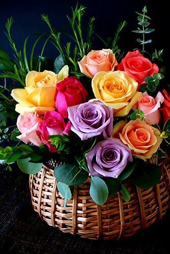 Colored Roses, Rose Belle, Coming Up Roses, Love Roses, Colorful Roses, Beautiful Rose Flowers, Tea Roses, Love Rose, Flower Beauty