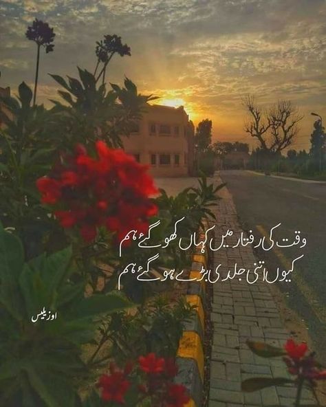 Diary Aesthetics, Urdu Quotes Images, Good Evening Greetings, Al Qur'an Aesthetic, Poetry Photos, Evening Greetings, Image Poetry, Blackout Poetry, Inspirational Quotes With Images