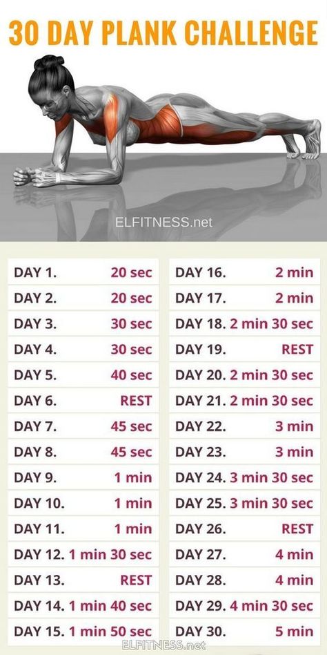 Motivasi Diet, Bolesti Chrbta, 30 Day Plank, 30 Day Plank Challenge, Plank Challenge, Plank Workout, Trening Fitness, Fitness Routines, Easy Yoga Workouts