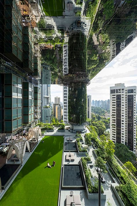 woha implants lush green terraces in high-rise hotel in singapore Orchard Singapore, Urban Hotels, Green Terrace, Singapore Hotels, Hotel Entrance, High Rise Building, Roof Garden, Terrace Garden, Lush Green