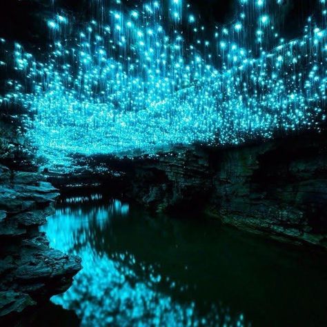 Waitomo Caves, Glow Worms, Glow Worm Cave, Glow Worm, Wallpaper Animes, The Cave, Tumblr Wallpaper, Magical Places, Beautiful Places To Visit