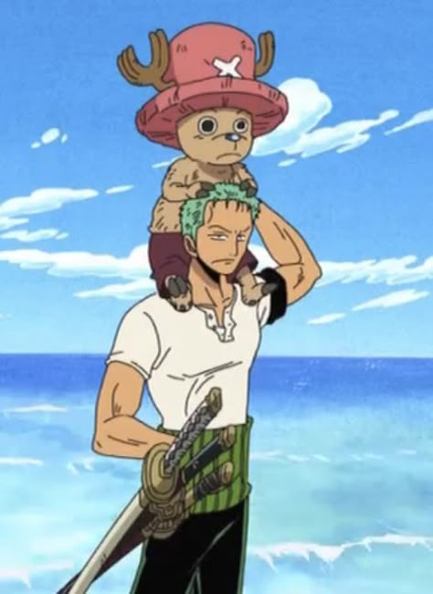 Zoro And Chopper, Zoro Chopper, One Piece Chopper, رورونوا زورو, Zoro Roronoa, One Piece Meme, Snk Cosplay, Tony Tony Chopper, Tony Chopper