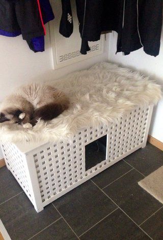 Katt Grejer, Cat Hacks, Hacks Diy, Cat Stuff, Cats Dogs, Home Deco, Home Appliances, Pet, Furniture