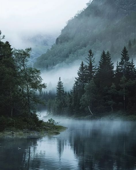 The image is a beautiful landscape of a lake and mountains. The water is calm and still, and the trees are reflected in the water ->> more details in ai-img-gen.com Misty Scenery, Misty Nature, Lake Aesthetics, Lake And Forest, Pretty Lake, Foggy Lake, Foggy Landscape, Calm Mood, Calm Place