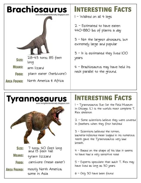 Dinosaur fact and writing.PDF - Google Drive Dino Facts, Dinosaur Facts For Kids, Dinosaur Information, Dinosaur Crafts Preschool, Crown Printable, Learning French For Kids, Dinosaur Facts, Real Dinosaur, Dinosaur Printables