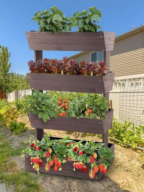 Deck Under Deck, Under Deck Patio, Herb Garden Outdoor, Planters Boxes, Garden Decorations Ideas, Herb Planter Box, Garden Plants Ideas, Food Not Lawns, Garden Ideas Indoor