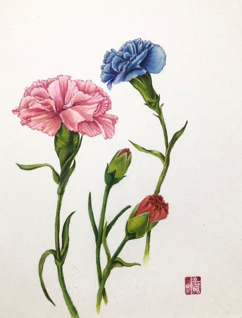 Carnation Drawing, Black Sleeve Tattoo, Folk Art Flowers, Carnation Flower, Watercolor Flower Art, Watercolor Painting Techniques, Nature Drawing, Botanical Painting, Sleeve Tattoo