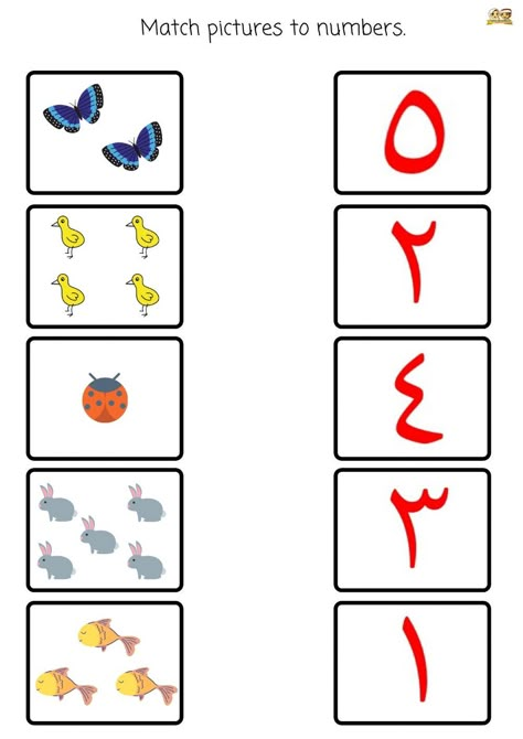 Numbers Worksheet, Alphabet Worksheets Kindergarten, Islamic Kids Activities, Arabic Numbers, Arabic Worksheets, Preschool Math Worksheets, Kids Worksheets Preschool, Learn Arabic Alphabet, Arabic Alphabet For Kids