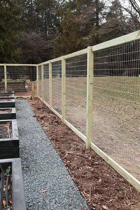 Fences Around Vegetable Gardens, Veggie Garden Fence Ideas, Wooden Garden Design, Diy Vegetable Garden Fence, Fenced Raised Garden, Chicken Wire Fence Garden, Garden Fencing To Keep Deer Out, Chicken Run Fencing, Rabbit Proof Garden Fence