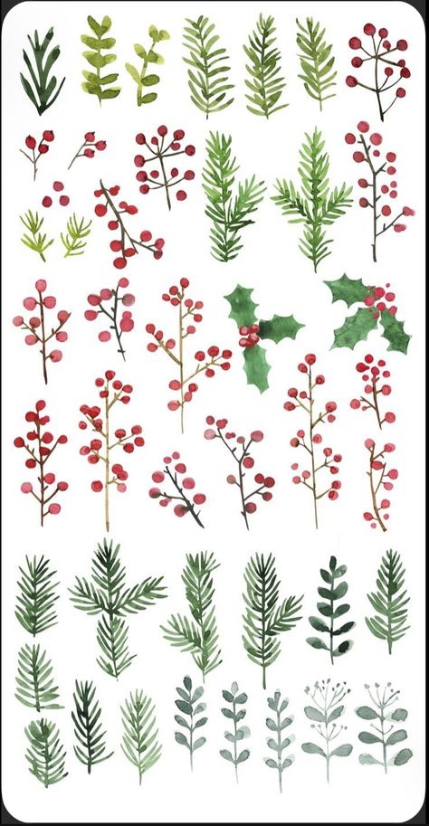 Pine Cone Embroidery Pattern, Watercolor Garland Christmas, Eucalyptus Wreath Drawing, Christmas Berries Decorations, Christmas Garland Painting, Christmas Greenery Drawing, Christmas Leaves Drawing, Winter Foliage Illustration, Christmas Botanical Illustration