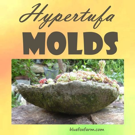 Hypertufa Molds; almost anything can be used to make a unique hypertufa creation Hypatufa Pots, Hypertufa Molds, Hyper Tufa, Hypertufa Planters, Hypertufa Projects, Container Water Gardens, Concrete Leaves, Cement Projects, Cement Flower Pots