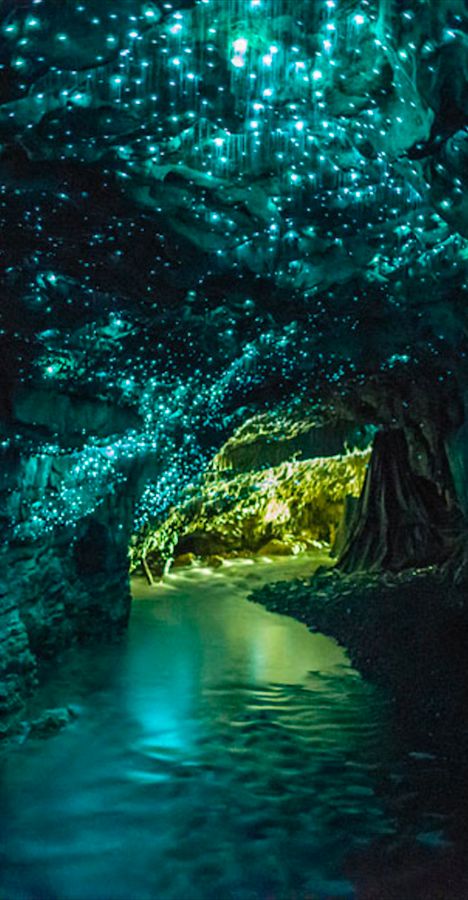 Waitomo Glowworm Caves near Otorohanga on New Zealand's North Island • photo: Kristin Pierce on Flickr Glowworm Caves, The Tourist, Magical Places, Places Around The World, Tourist Attraction, Vacation Spots, Dream Vacations, Travel Dreams, Wonders Of The World