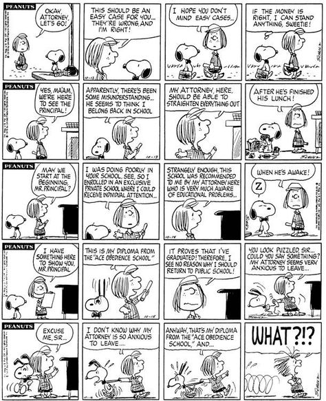 “Ace Obedience School” is the longest storyline in Peanuts history; it runs from September 16 - October 29, 1976, 6th Red Baron Snoopy, Pulp Fiction Comics, Charlie Brown Comics, Charles Brown, Charlie Brown And Friends, Snoopy Comics, Brown And Friends, Snoopy Cartoon, Black And White Comics