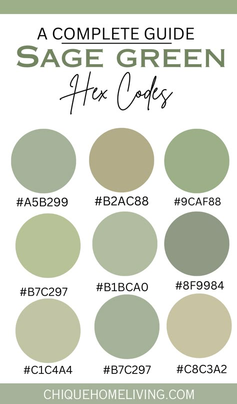 Sage Green Color Codes and Paint Colors 38 Sage Green Color Codes and Paint Colors Best Sage Green Paint Colors, Best Sage Green Paint, Sage Paint Color, Sage Green Paint Colors, Sage Green Paint Color, Sage Green Paint, Pantone Colour Palettes, Room Wall Colors, Barber Shop Decor