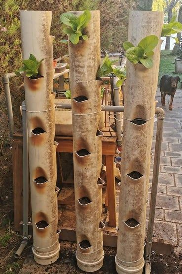 Pvc Pipe Garden Ideas, Tower Garden Diy, Cleaning Grill, Vertical Garden Wall Planter, Pvc Garden, Strawberry Tower, Vertical Garden Indoor, Pvc Pipe Projects, Vertical Vegetable Garden