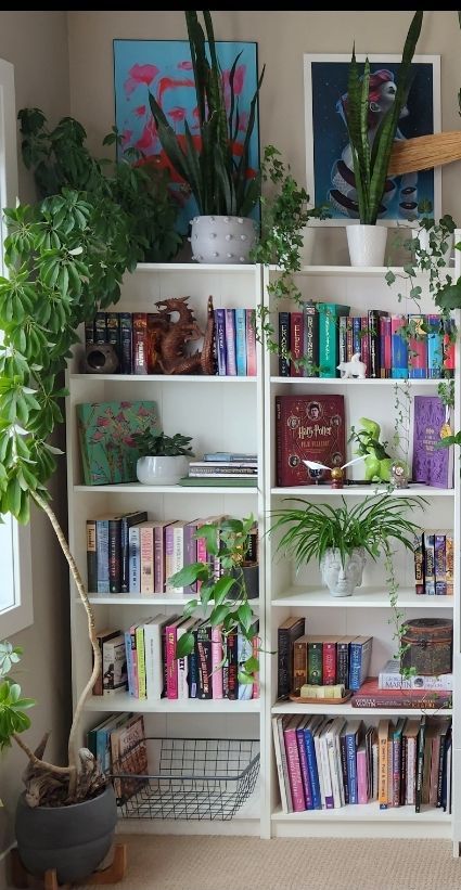 Bookshelves Mini Library Decor Ideas, Aesthetic Mini Library, Small Library Space, Small Diy Library, Mini Library Room Ideas, Small Library Room Ideas Cozy, Mini Library At Home Small Spaces, Book Selfs Design For Room, Library In Small Room