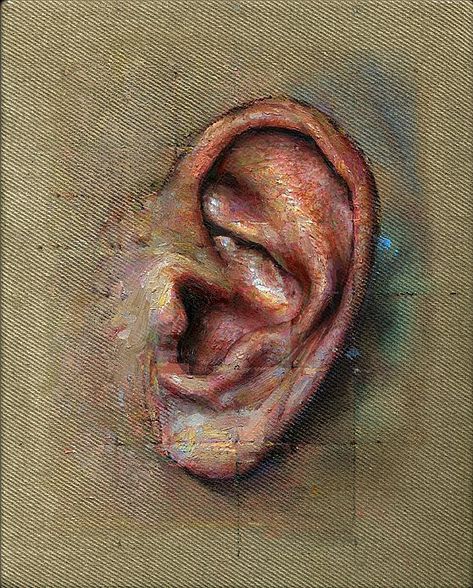 Ear Painting, Painting Skin Tones, Jackie Taylor, Painting Skin, Taylor Aesthetic, Ear Art, Oil Painting Inspiration, Irish Art, Arte Sketchbook