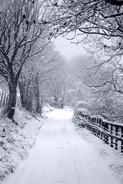 Llangollen Wales, Winter Feeling, Magic Nature, Winter's Tale, Winter Photos, Winter Love, Snowy Winter, Winter Scenery, Winter Magic