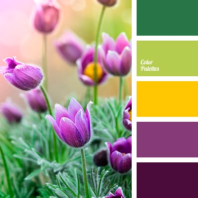 Color Palette 4031 inspires you to decorate your house, flat, bedroom, kitchen, living room, bathroom and even wedding with our color ideas. Leaf Color Palette, Violet Color Palette, Flower Color Palette, In Color Balance, Yellow Palette, Purple Palette, Purple Color Palettes, Color Palette Challenge, Color Palette Yellow