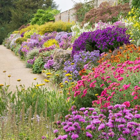 English Herbaceous Borders | Waterperry Gardens, Oxfordshire, UK | ( 2 of 50)… Perennial Gardens, Herbaceous Border, Sloped Garden, Planting Design, Garden Wallpaper, English Gardens, Garden Shrubs, English Cottage Garden, Cottage Gardens