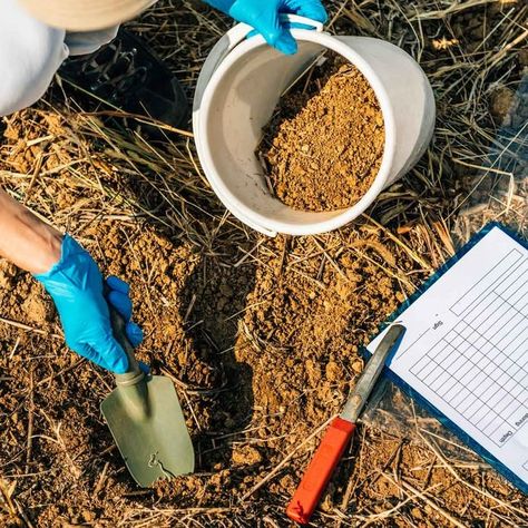 Soil Testing: What You Should Know | The Family Handyman Ag Projects, Garden Ideas Plants, Plant Greenhouse, Soil Test, Front Of Home, Farm Tips, Plant Structure, Compost Soil, Rain Barrels