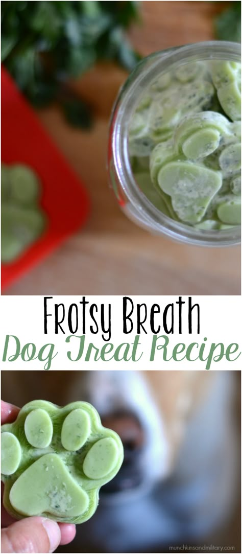 Frosty Breath Dog Treats - Three Little Ferns - Family Lifestyle Blog Dog Treat Recipe, Dog Pitbull, Dog Biscuit Recipes, Doggy Treats, Dog Breath, Anatolian Shepherd, Frozen Dog, Dog Treats Homemade Recipes, Doggie Treats