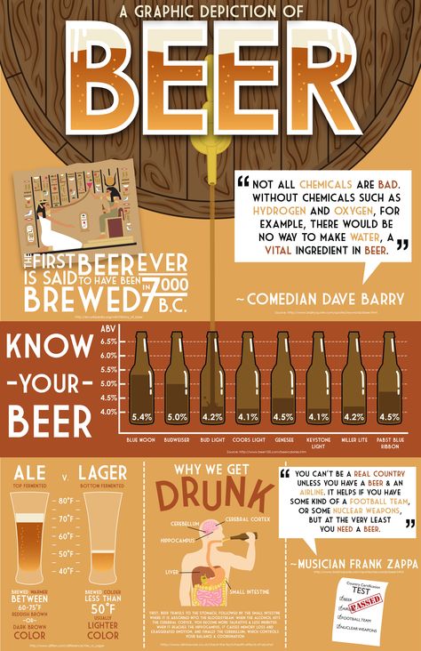 Beer Infographic-- information graphic on Beer- when it was first brewed, different alcohol percentages, effects on the body, etc. Beer Infographic Design, Alcohol Infographic, Chemistry Infographic, Beer Knowledge, Beer Infographic, Beer Facts, Alcohol Awareness, Effects Of Alcohol, Design Portfolio Layout