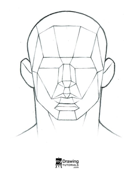 Loomis Method Head Front View, Front Face Reference Drawing, Planes Drawing, Asaro Head, Face Planes, Front Portrait, Human Face Drawing, Planes Of The Face, Loomis Method