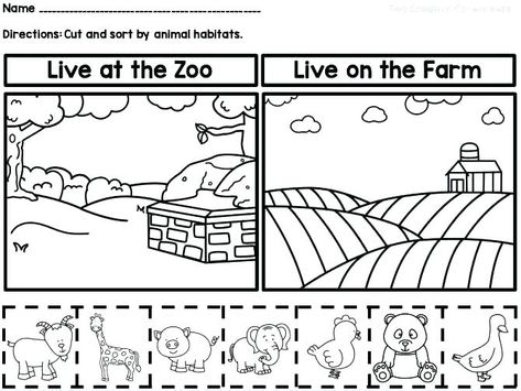 Wild Animals Worksheets For Grade 1 Millenniums Math In Free Animal Habitats Kindergarten, Animal Habitats Preschool, Farm Unit Kindergarten, Kindergarten Animals, Sorting Worksheet, Animal Preschool, Animals Worksheet, 2nd Grade Reading Worksheets, Camping Theme Preschool