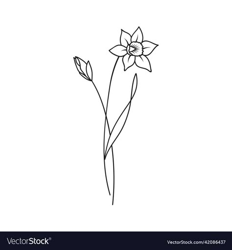 March Birth Flower Tattoo Simple, Fine Daffodil Tattoo, Daffodil March Tattoo, Narcissus Flower Line Drawing, Birth Month Flower March, Simple Daffodil Tattoo Design, Daffodils Flower Drawing, Daphadil Flower Tattoo Simple, March Birth Month Flower Tattoo