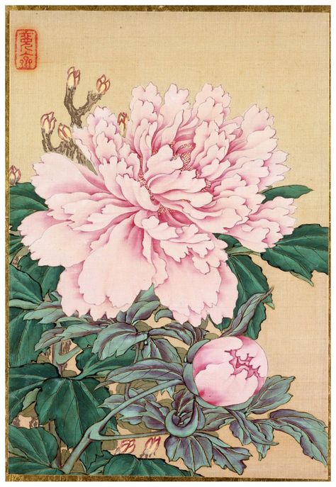 Okamoto Shuki Paeonia Suffruticosa, Peony Drawing, Pictures Of Flowers, Inspirational Digital Art, Korean Painting, Book Pictures, Japan Painting, Japanese Drawings, Peony Painting