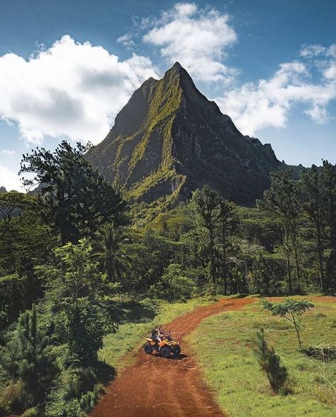 Moorea Island, Moorea Tahiti, Tahiti Travel, Tahiti French Polynesia, Oceania Travel, Aesthetic Picture, Tropical Destinations, Beautiful Places Nature, On The Road Again