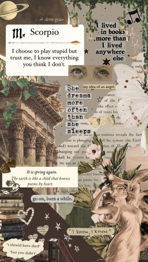 Greek Astrology Aesthetic, Soft Scorpio Aesthetic, Scorpio Collage Wallpaper, Zodiac Scorpio Aesthetic, Scorpion Zodiac Wallpaper, Scorpio Vibes Aesthetic Wallpaper, Scorpio Phone Wallpaper, November Scorpio Aesthetic, Aesthetic Wallpaper Scorpio