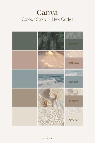 Earthy Coastal Color Palette, Color Pallet Neutral, Nature Colours Palette, Clean Retro Aesthetic, Canva Color Palette Codes Aesthetic, Calm Neutral Color Palette, Neutral Boho Color Palette, Calm Colour Palette, Neutral Color Palette Bedroom