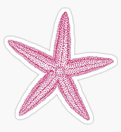 Pink starfish Sticker Starfish Sticker, Pink Starfish, Preppy Stickers, Stella Marina, Cute Laptop Stickers, Vinyl Bumper Stickers, Stickers Cool, Scrapbook Stickers Printable, Phone Stickers