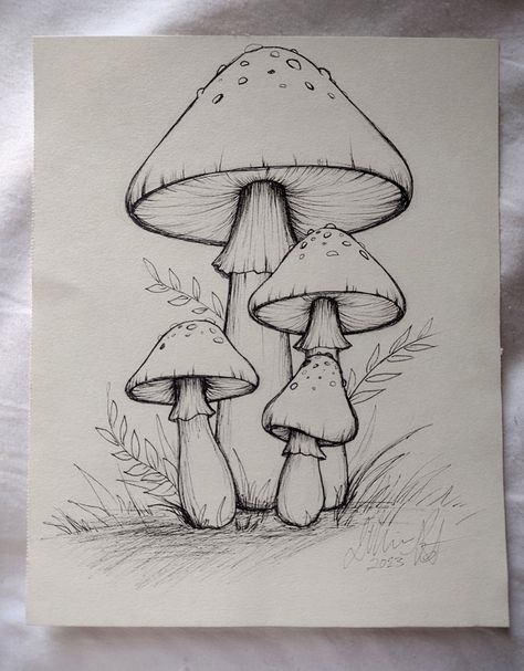 Cute Boho Drawings, Sketch Of Mushroom, Sketch Ideas Mushroom, Mushroom Pencil Sketch, Simple Drawings Nature, Sketch Book Mushroom, Mashrooms Drawing Ideas Easy, Mashrom Drawing Ideas, Simple Nature Sketches