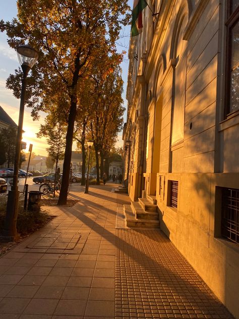 Sunshine Morning, 숲 사진, Sunrise City, Street Background, Walking City, Photography Autumn, Scenery Photography, Providence Ri, Tumblr Photography