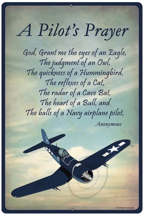 Pilot Dream, Force Quotes, Pilots Quotes Aviation, Pilot Career, Pilot Quotes, Aviation Quotes, Aviation Education, Jet Fighter Pilot, Aviation Training