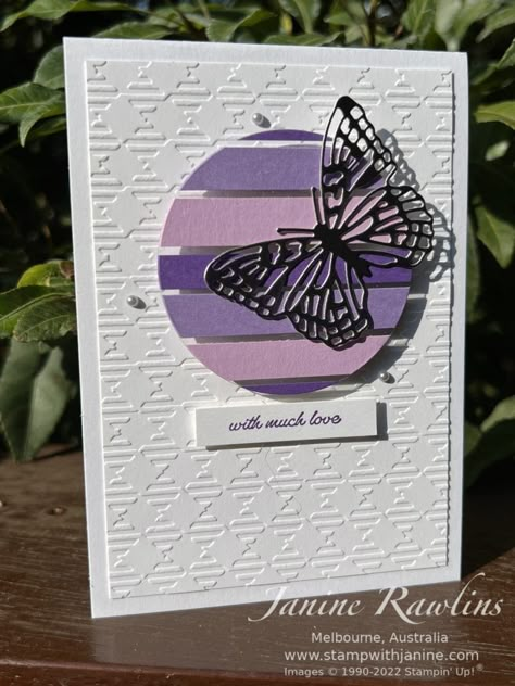 Stampin Up Floating Cards, Circle Fold Cards, Floating Cards, Strip Cards, Butterfly Brilliance, Circle Cards, Acetate Cards, Layered Cards, Greeting Card Inspiration