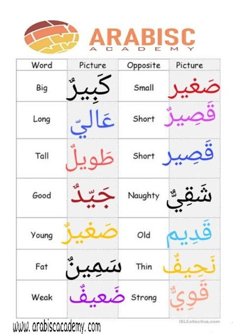 Arabic Language Learning Alphabet, Arabic Learning For Kids, Arabic Lessons For Beginners, Arabic For Beginners, Learning Arabic For Beginners, Arabic Language Learning, Arabic For Kids, Arabic Verbs, Level Of Understanding