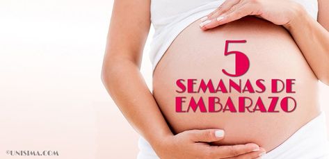 5 Semanas de Embarazo – Gestación Completa paso a paso Week 6 Of Pregnancy, 4weeks Pregnant, Usg Pregnancy 3 Weeks, 6 Weeks Pregnant Symptoms, 35 Weeks Pregnant, Graphic Tank Top, Tank Tops, Women's Top