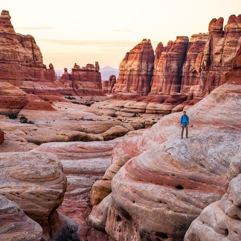 Canyonlands National Park in Utah: The best things to do in Canyonlands including the Mesa Arch, White Rim Overlook, Green River Overlook, The Needles District, Druid Arch, Chesler Park Trail, and more! This is one of the best things to do in Utah and you don't want to miss this national park near Moab! #canyonlandsnationalpark #moab #utah #madetoexplore White Rim Trail Utah, The Needles Canyonlands, Cecret Lake Utah, Otways National Park, Moab Hikes, Utah Bucket List, Mesa Arch, Utah Trip, Utah Road Trip