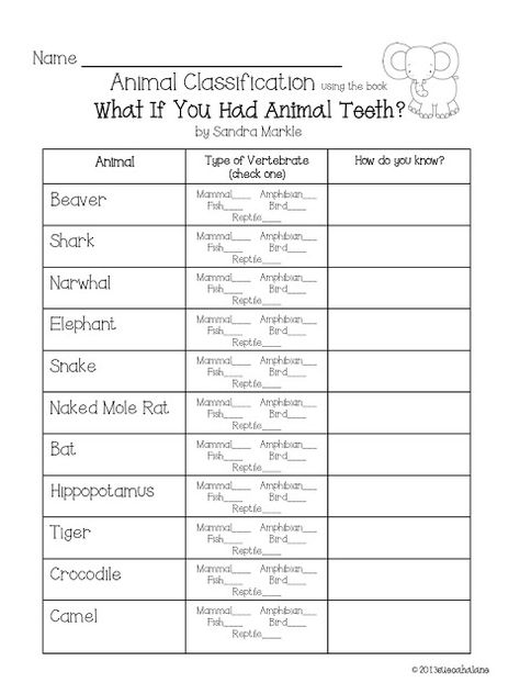 Science for Kids: Animal Classification Teeth Worksheet, Homeschooling Uk, Animal Classification Activity, Worksheets For Middle School, 2nd Grade Science, Middle School Lesson Plans, Animal Classification, Animal Adaptations, Dental Tourism