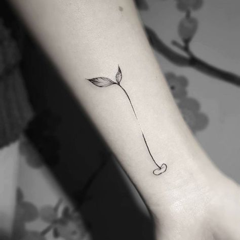 Stella Luo Creates Mesmerizing Minimalist Tattoos Plant Small Tattoo, Sprout Tattoo Plant, Seed Sprouting Tattoo, Plant Sprout Tattoo, Vegan Tattoo Minimalist, Bean Sprout Tattoo, Seedling Tattoo, Perth Tattoo, Sprout Tattoo